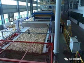 货物绑扎加固施工方案，实操经验分享