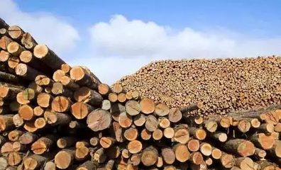 2018年中国木材进出口及需求量统计
