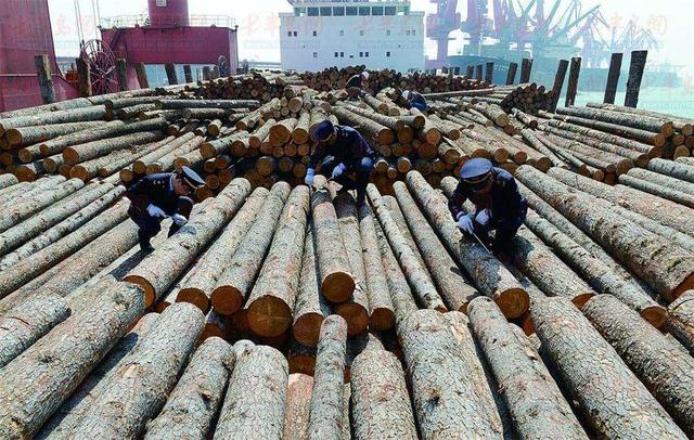 这是好事:中国已成世界最大的木材与木制品加工国贸易国和消费国